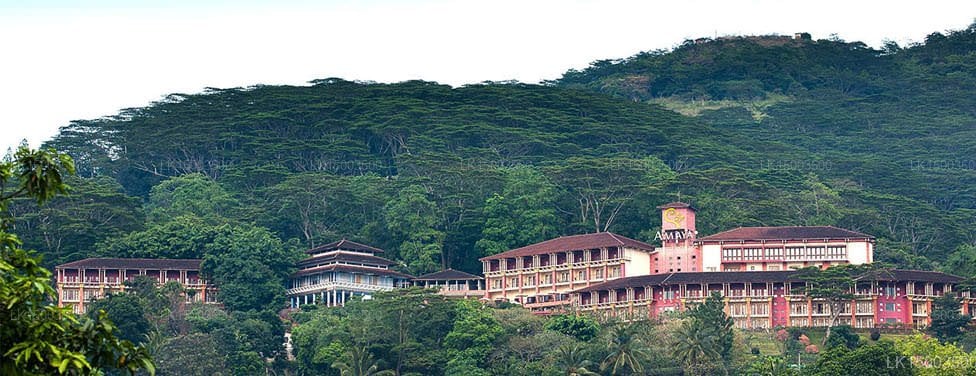 Amaya Hills