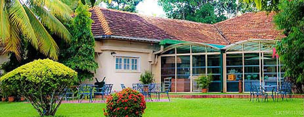 Tamarind Tree Hotel