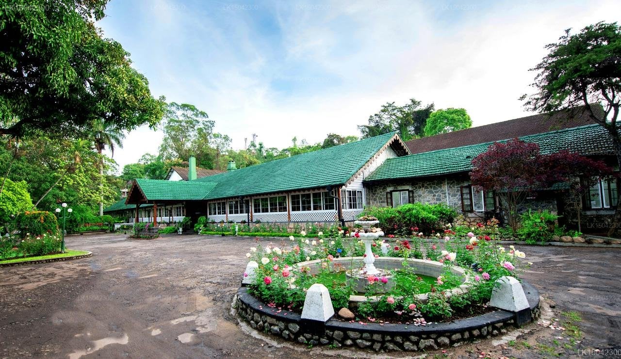Silver Springs