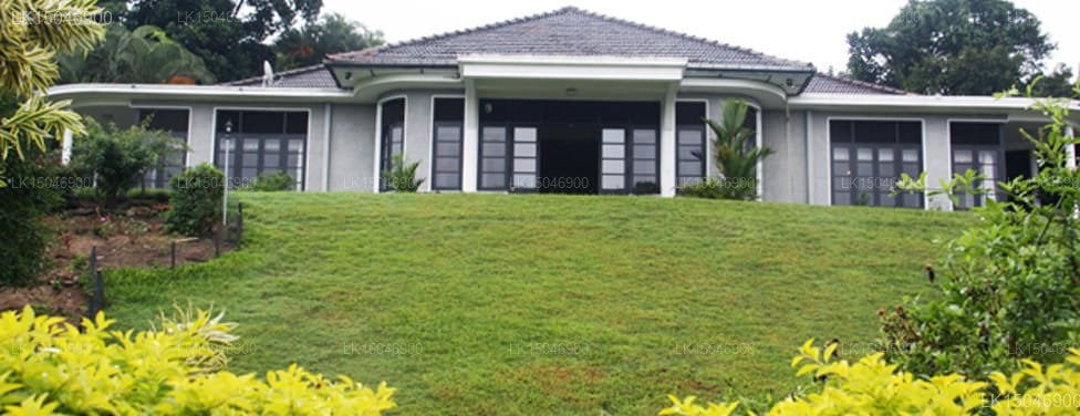 Castle Hill Guest House