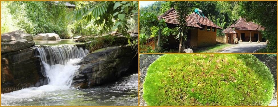 The Kandy Samadhi Center