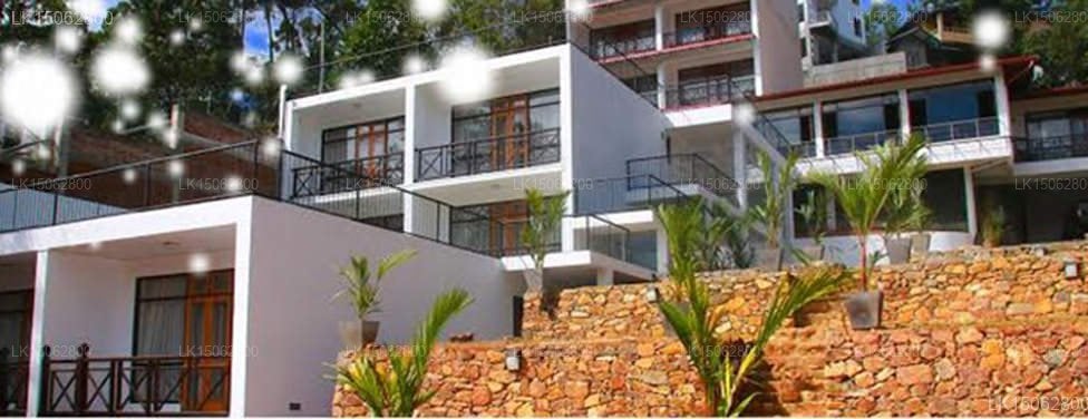 Alta Vista