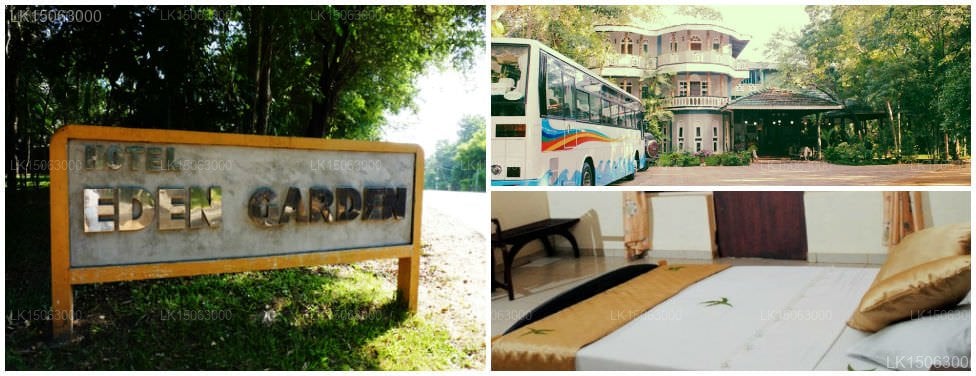 Hotel Eden Garden