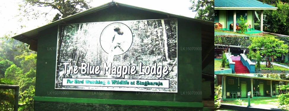The Blue Magpie Lodge
