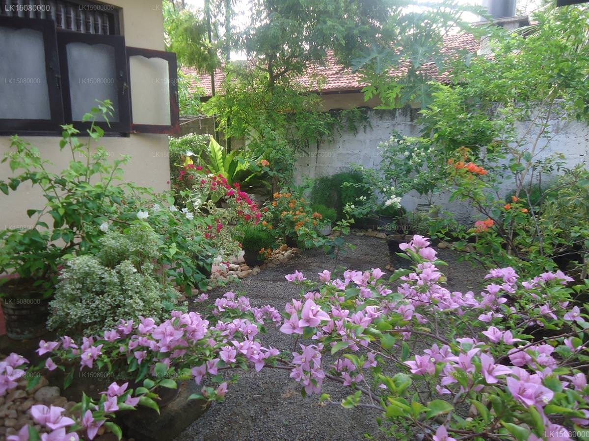 Ocean View Guest House & restaurant