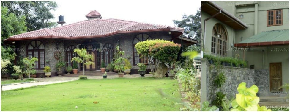 MF Estate Holiday Bungalow