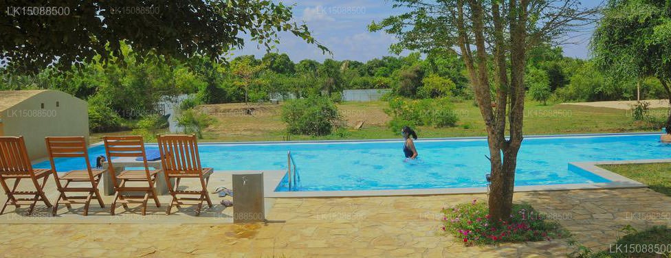 Back of beyond - Wellness Retreat