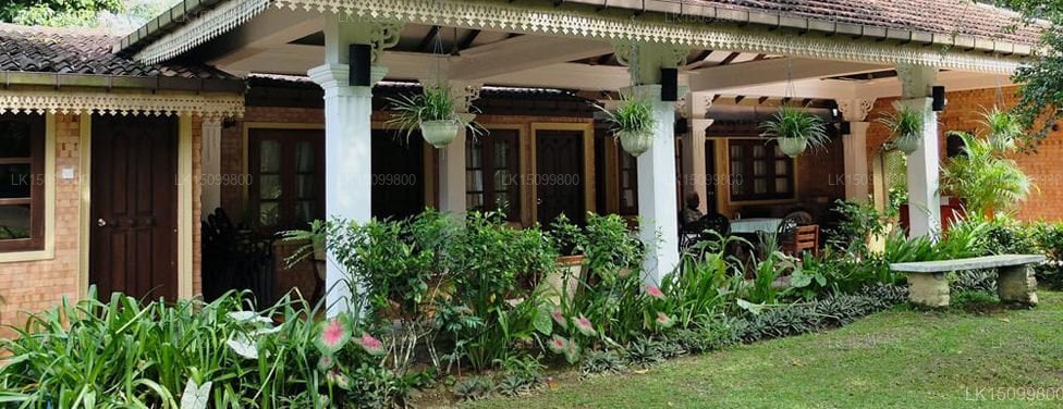 Plantation Villa