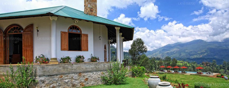 Madulkelle Tea & Eco Lodge