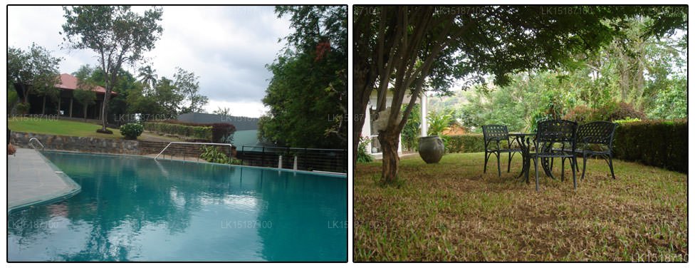 Shady Nook Family Holiday Bungalow