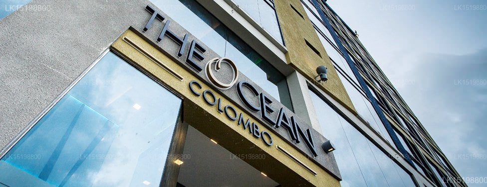 The Ocean