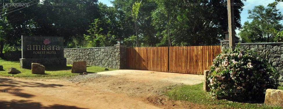 Amaara Forest Hotel