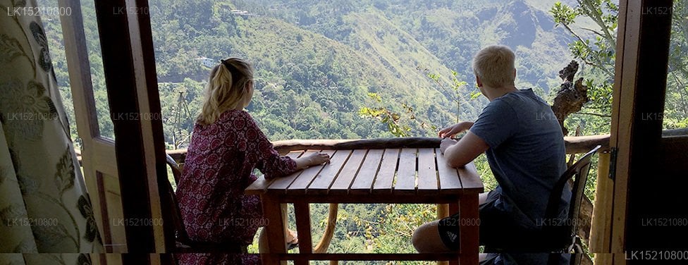 Idyll Homestay