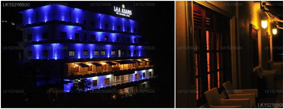 Laa Adams