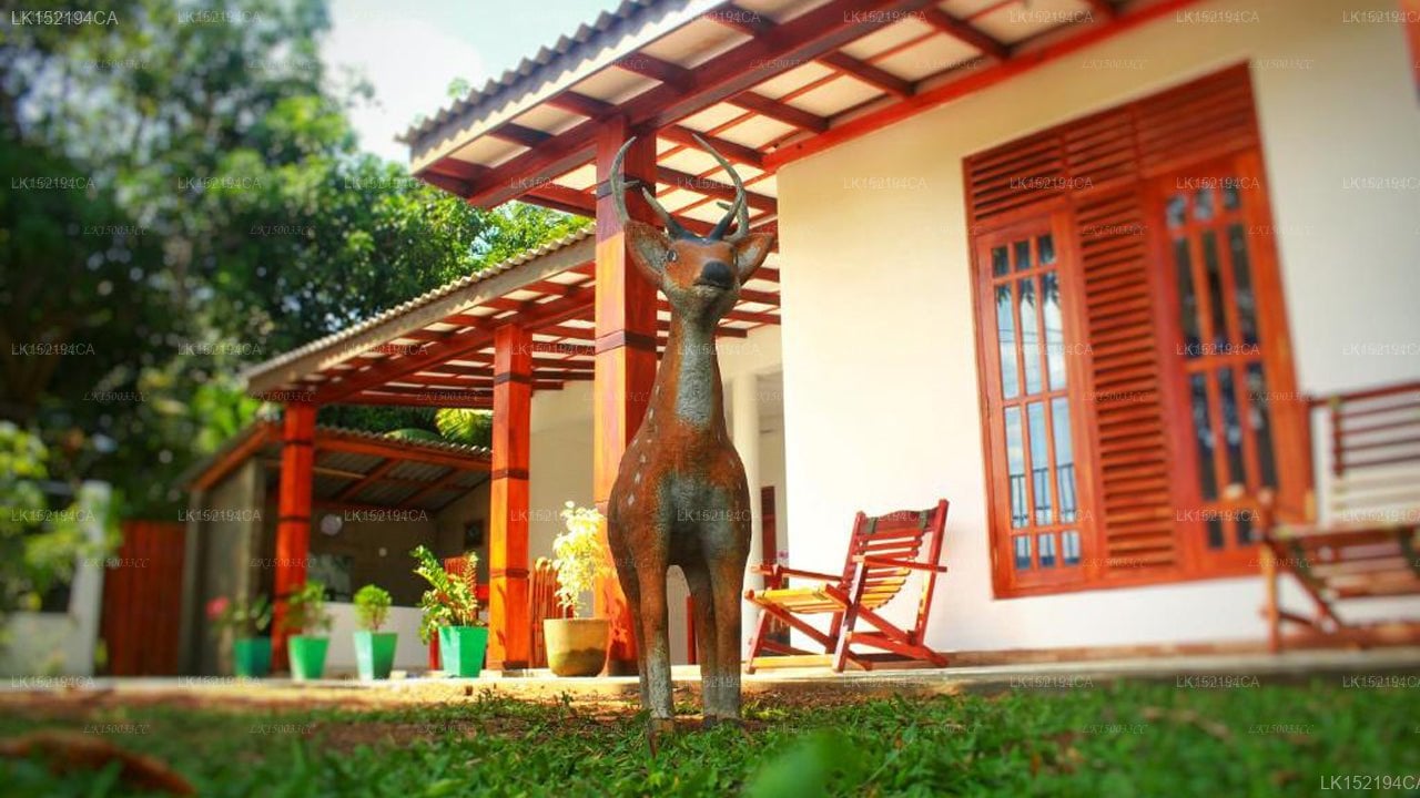 Cormorant Lake Resort