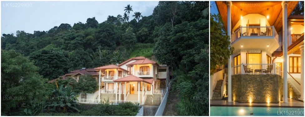 Orchid Villa