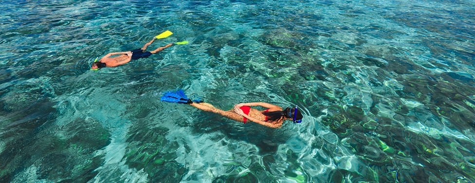 Kurumba Resort