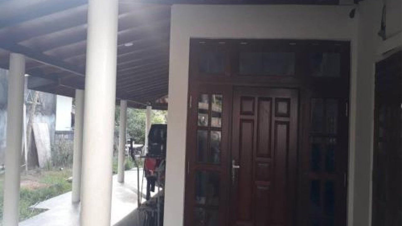 Penguin Villa