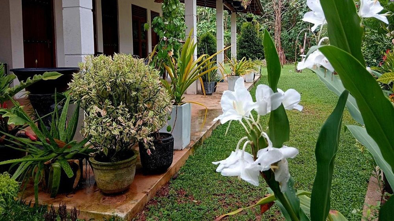 Cashew Villa, Hiriketiya