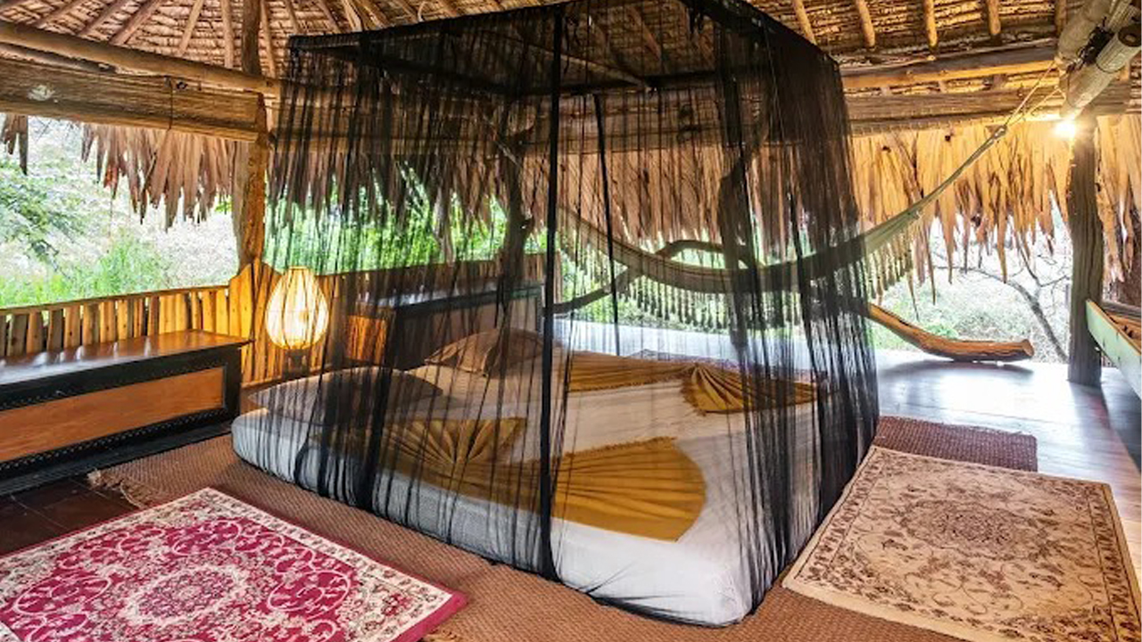 Banyan Camp