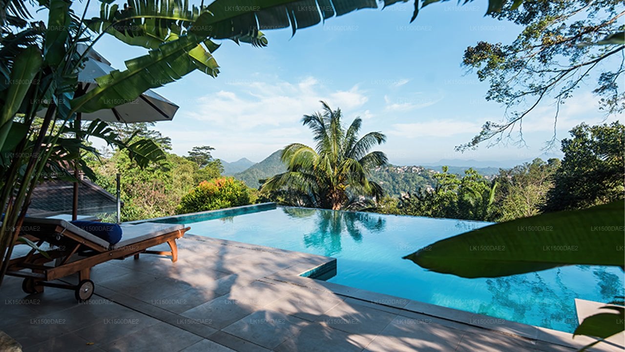 Villa Shenandoah