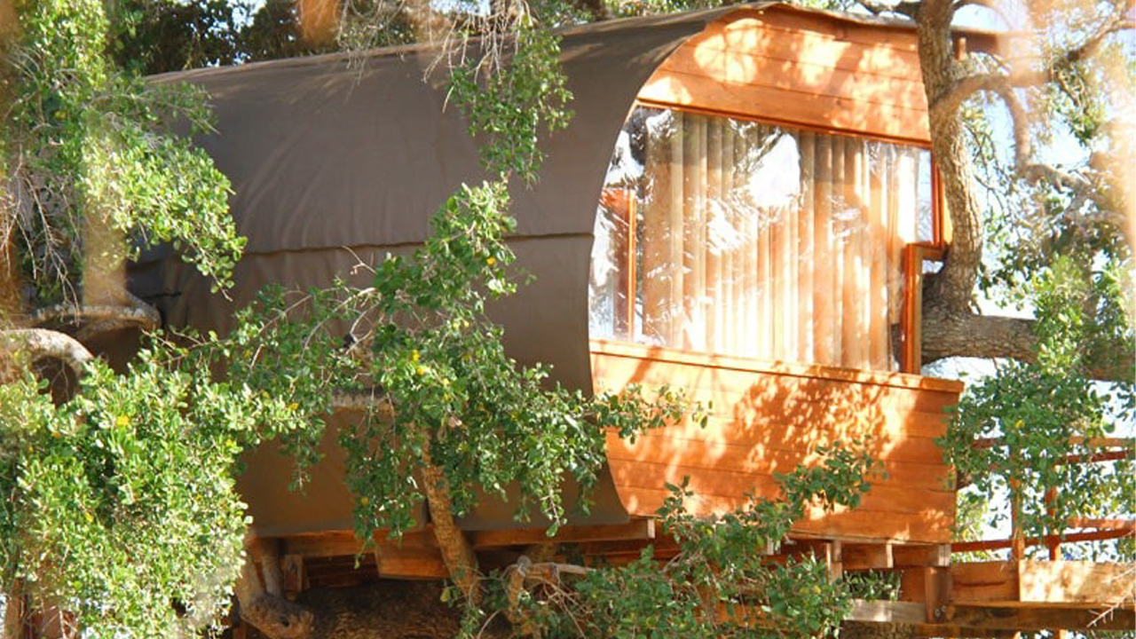 Leopard Nest Luxury Campsite