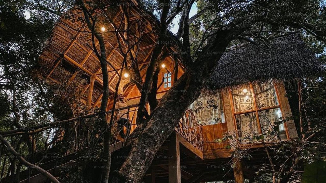Habarana Ambasewana Resort