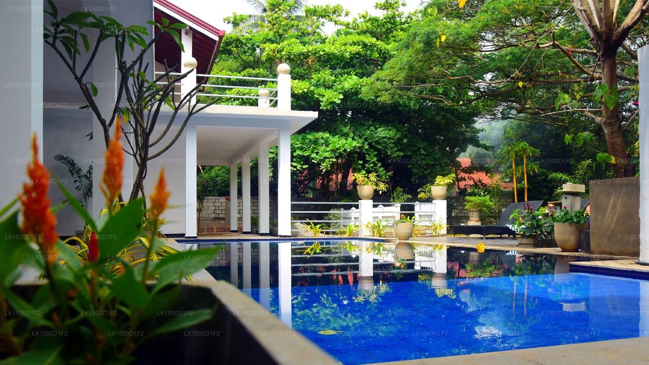 Serendib Village Guest House
