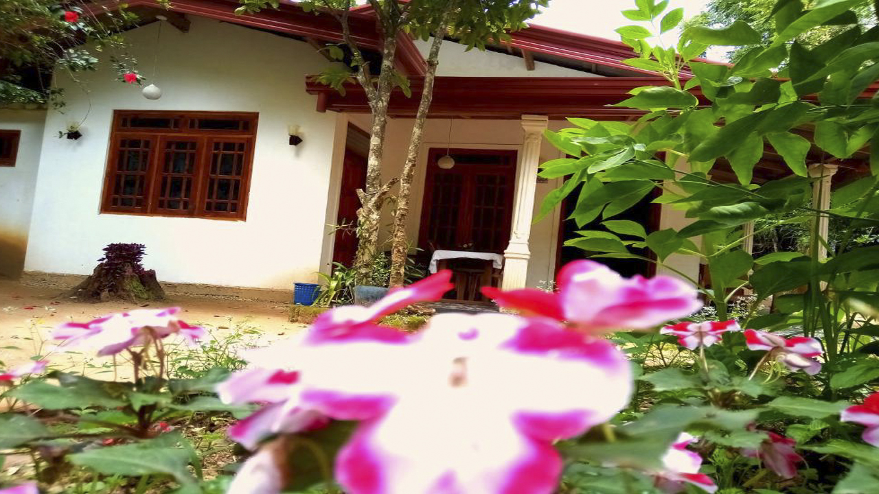 Ella Jungle Inn