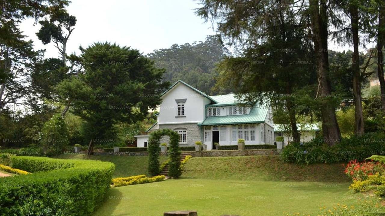 Brockenhurst Bungalow