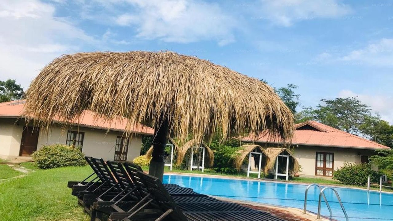 Hibiscus Garden Hotel