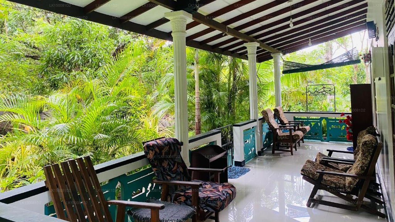 The Jungle Path Lodge