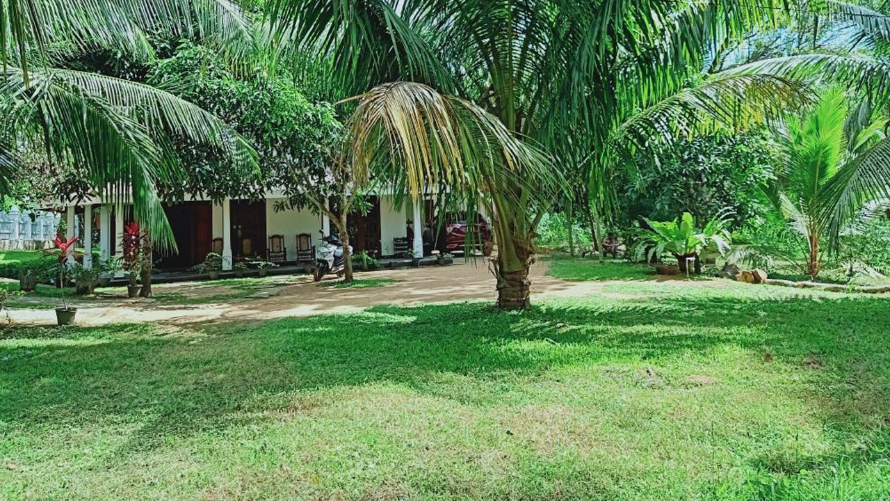 Cashew Garden