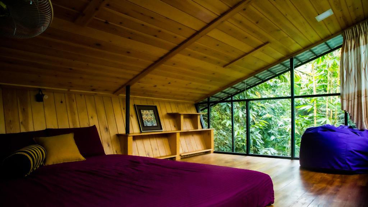 Arana Sri Lanka Eco Lodge and Yoga Center