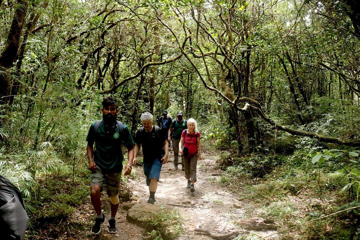 Camping in Knuckles Peak Trail (Private 1-Night)