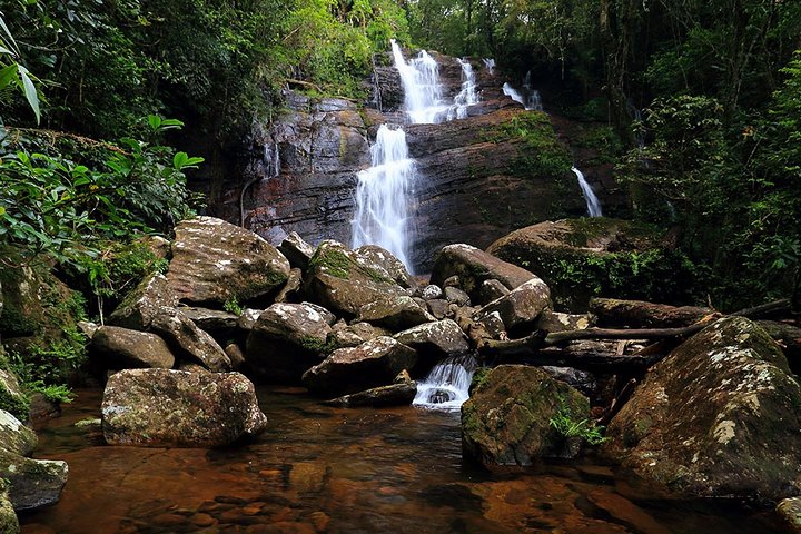 Birdwatching Walk in Sinharaja Rainforest from Colombo City