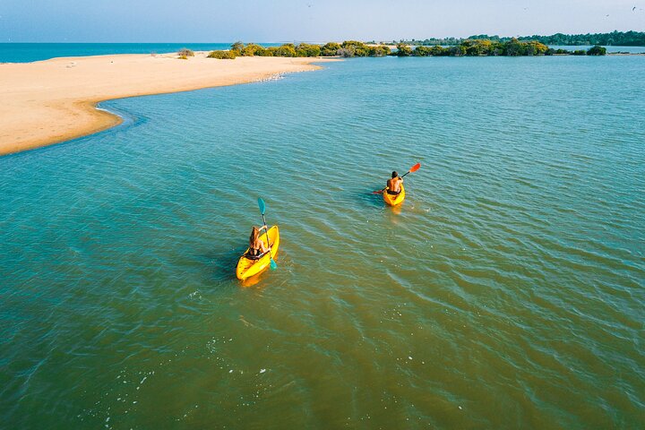Kayaking in Kalpitiya Lagoon