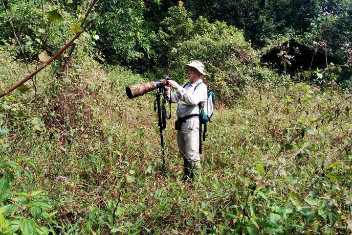 Birdwatching in Kitulgala