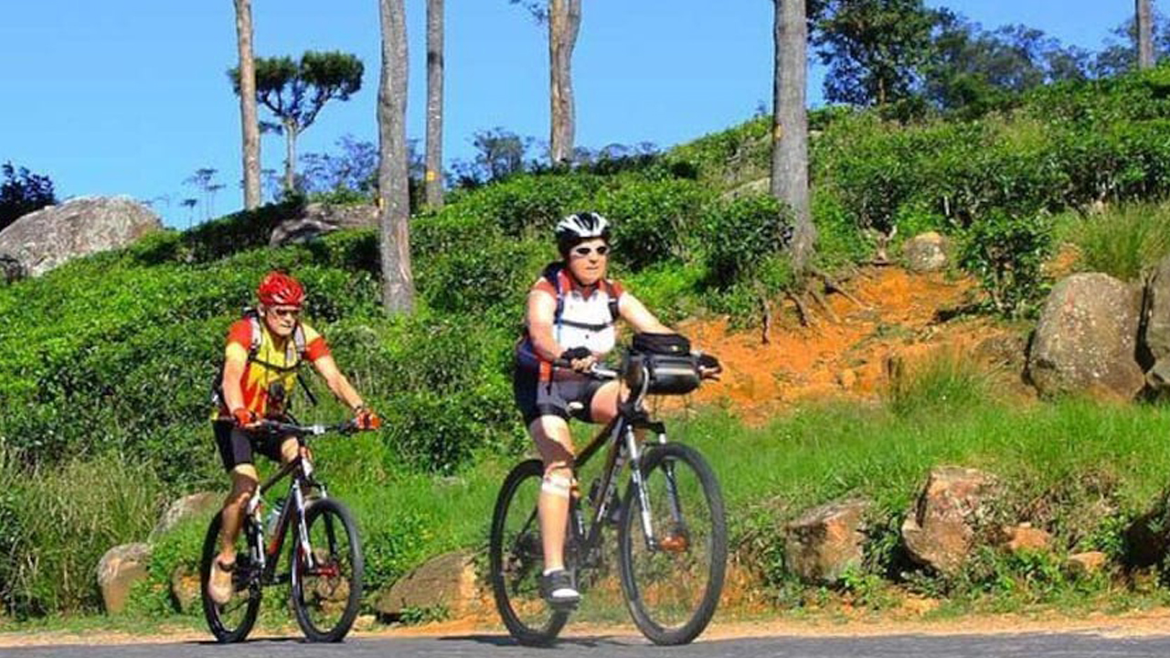 Tour en Bicicleta por la Plantación de Té Hanthana