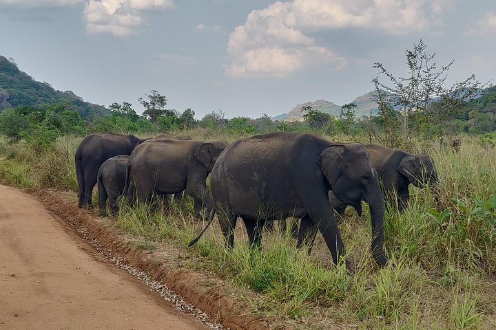 Hurulu Eco Park Shared Safari