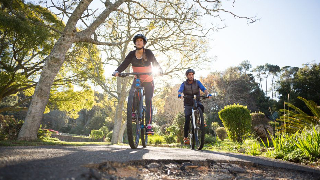 Tour en Bicicleta por la Plantación de Té Hanthana