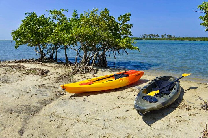 Kayaking in Kalpitiya Lagoon