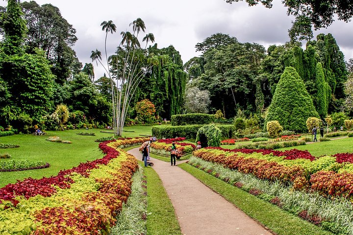 Kandy City Tour ab Mount Lavinia