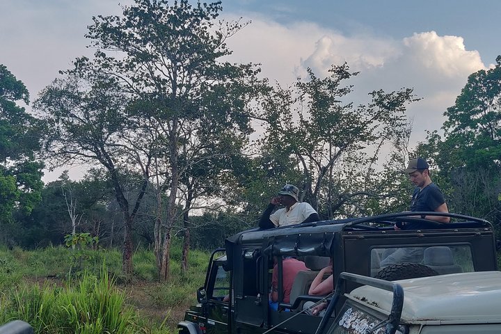 Hurulu Eco Park Shared Safari
