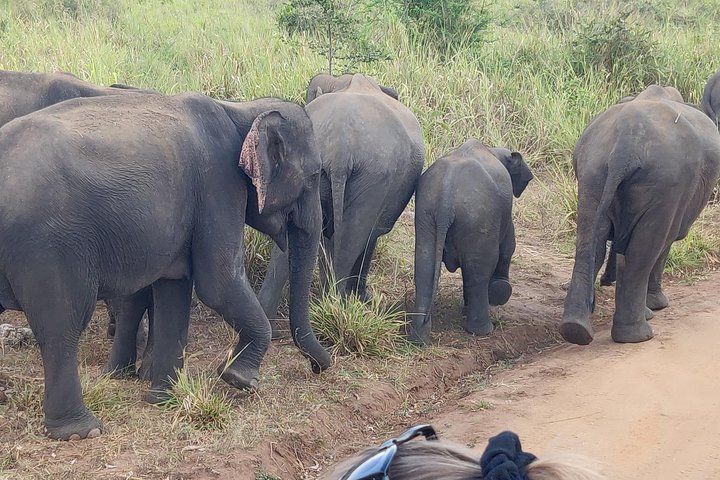Hurulu Eco Park Shared Safari