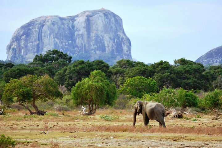 Tour Fotografico nello Sri Lanka (7 Giorni)