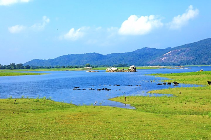 Maduru Oya National Park Shared Safari