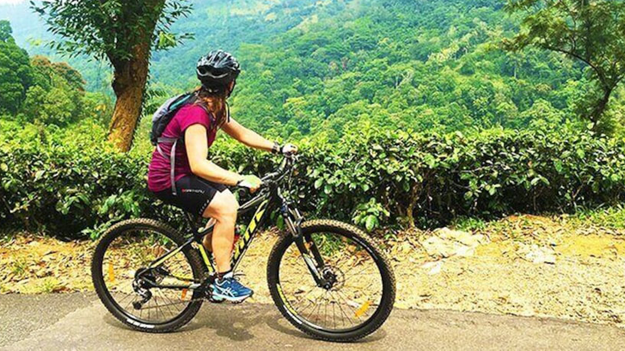 Tour en Bicicleta por la Plantación de Té Hanthana