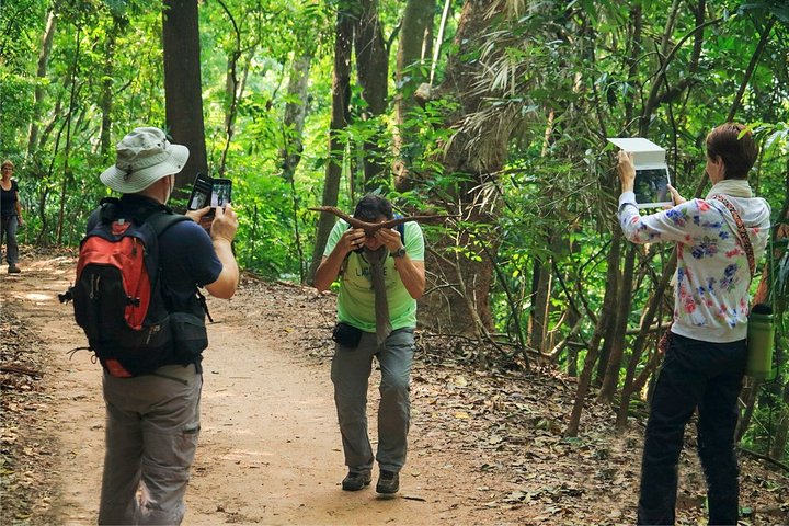 Randonnée dans la réserve forestière Udawattakele de Kandy