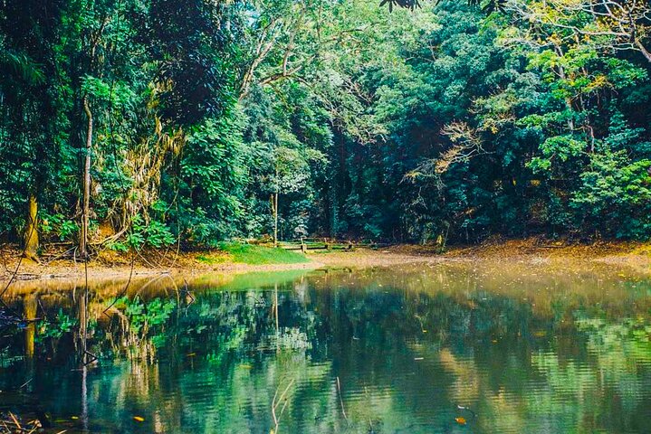 Randonnée dans la réserve forestière Udawattakele de Kandy